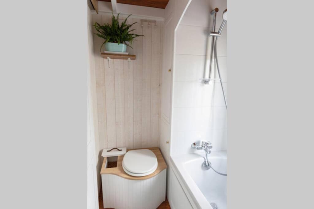 Tiny House En Baie Du Mont-Saint-Michel Villa Dol-de-Bretagne Exteriör bild